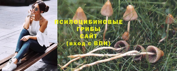 apvp Нягань
