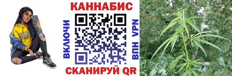 Бошки марихуана Amnesia Торжок